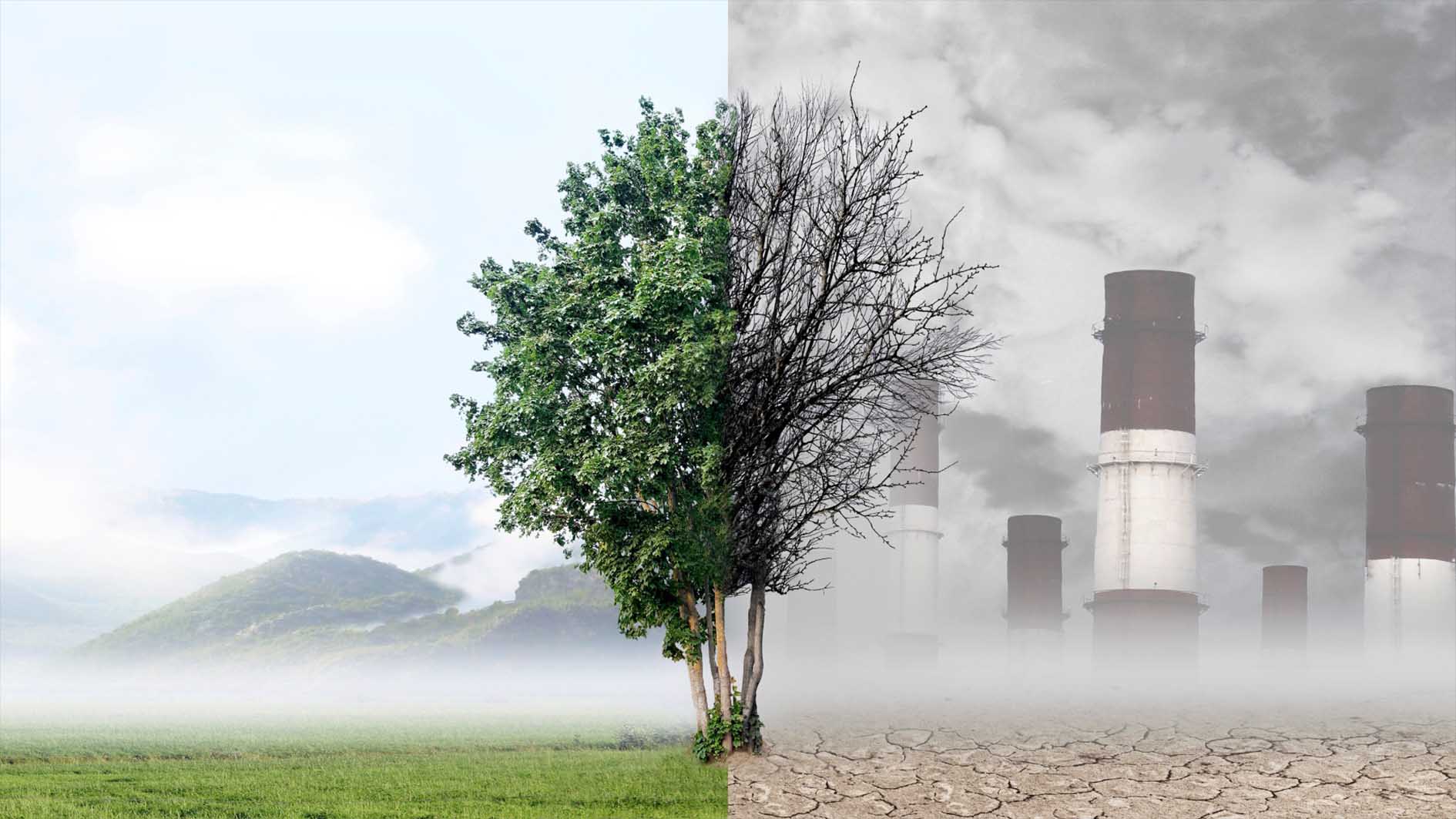Environmental Protection